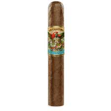 Ashton- San Cristobal Quintessence Majestic
