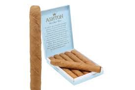 Ashton- Senoritas Half Cameroon- 10ct Display