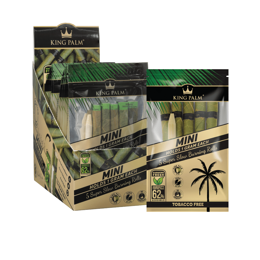 King Palm - Mini